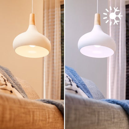 Philips Wiz Full Color Smart Gloeilamp