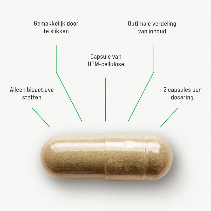 Natuurlijk Presteren Slaapmiddel - Nachtrust & Stemming