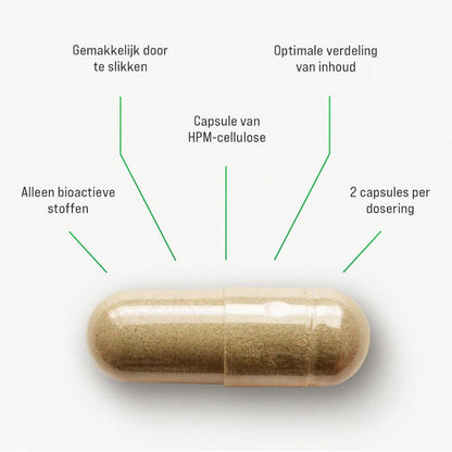 Natuurlijk Presteren Slaapmiddel - Nachtrust & Stemming